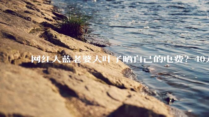 网红大蓝老婆大叶子晒自己的电费？40万每年，到底是什么概念？
