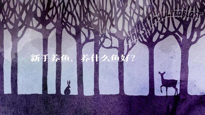 新手养鱼，养什么鱼好？