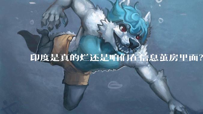 印度是真的烂还是咱们在信息茧房里面？