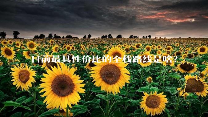 目前最具性价比的全栈路线是啥？