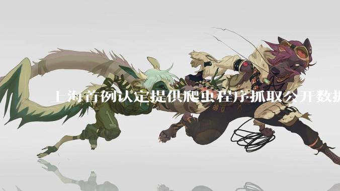 上海首例认定提供爬虫程序抓取公开数据构成提供侵入计算机信息系统程序罪案，该案件有哪些细节值得关注？