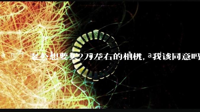老公想要买2万左右的相机，我该同意吗？