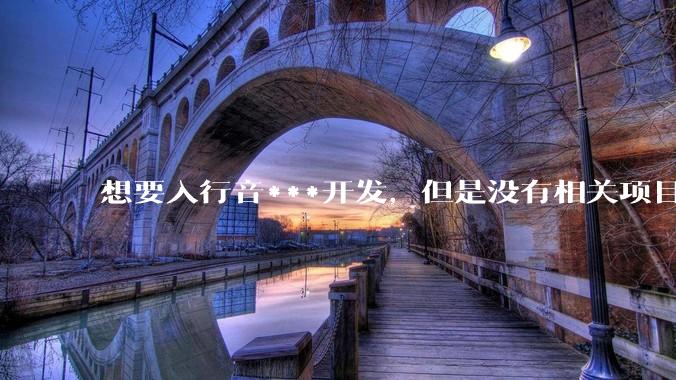 想要入行音***开发，但是没有相关项目经验怎么办？