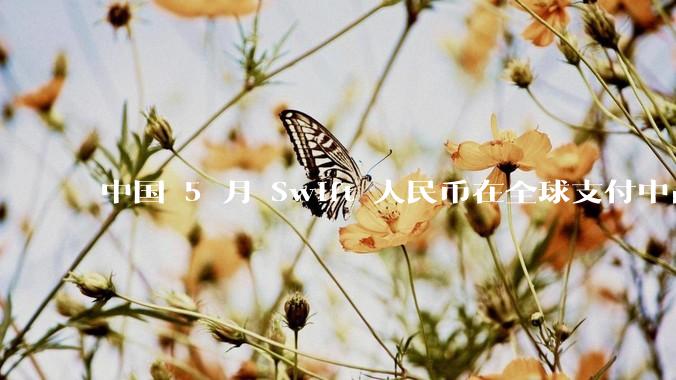 中国 5 月 Swift 人民币在全球支付中占比下降至 2.89%，背后的原因和未来的发展趋势是什么？