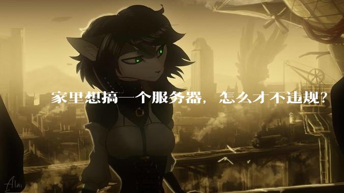 家里想搞一个服务器，怎么才不违规？